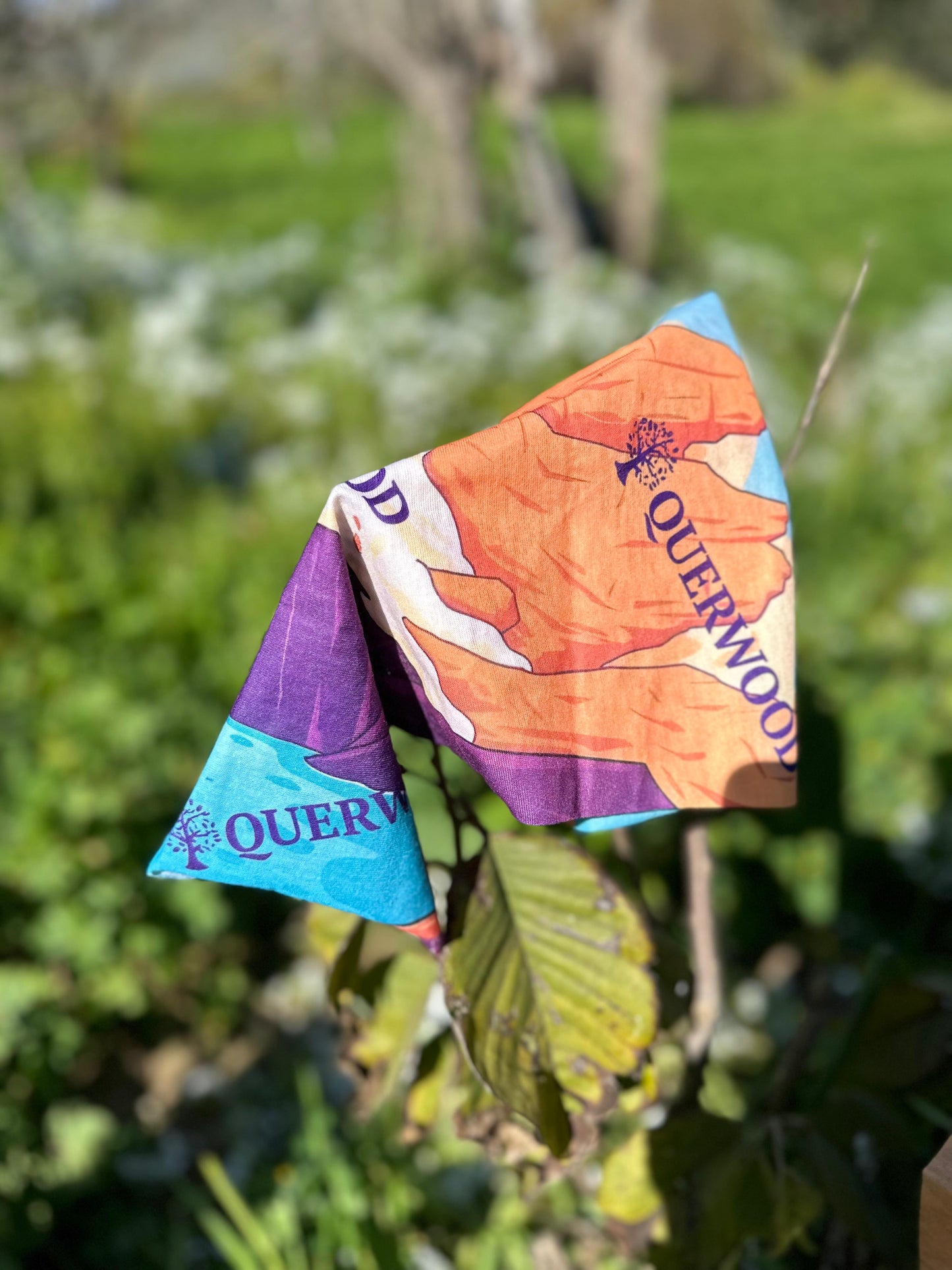 BANDANA QUERWOOD TORRES DEL PAINE